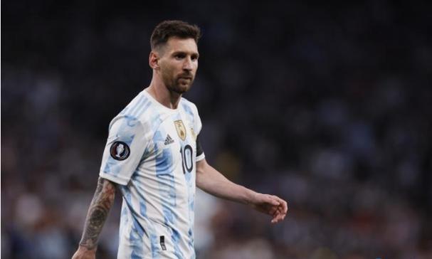 家有萌猫，慎选室友！揭秘五种不宜与猫咪共处的动物及其相处之道